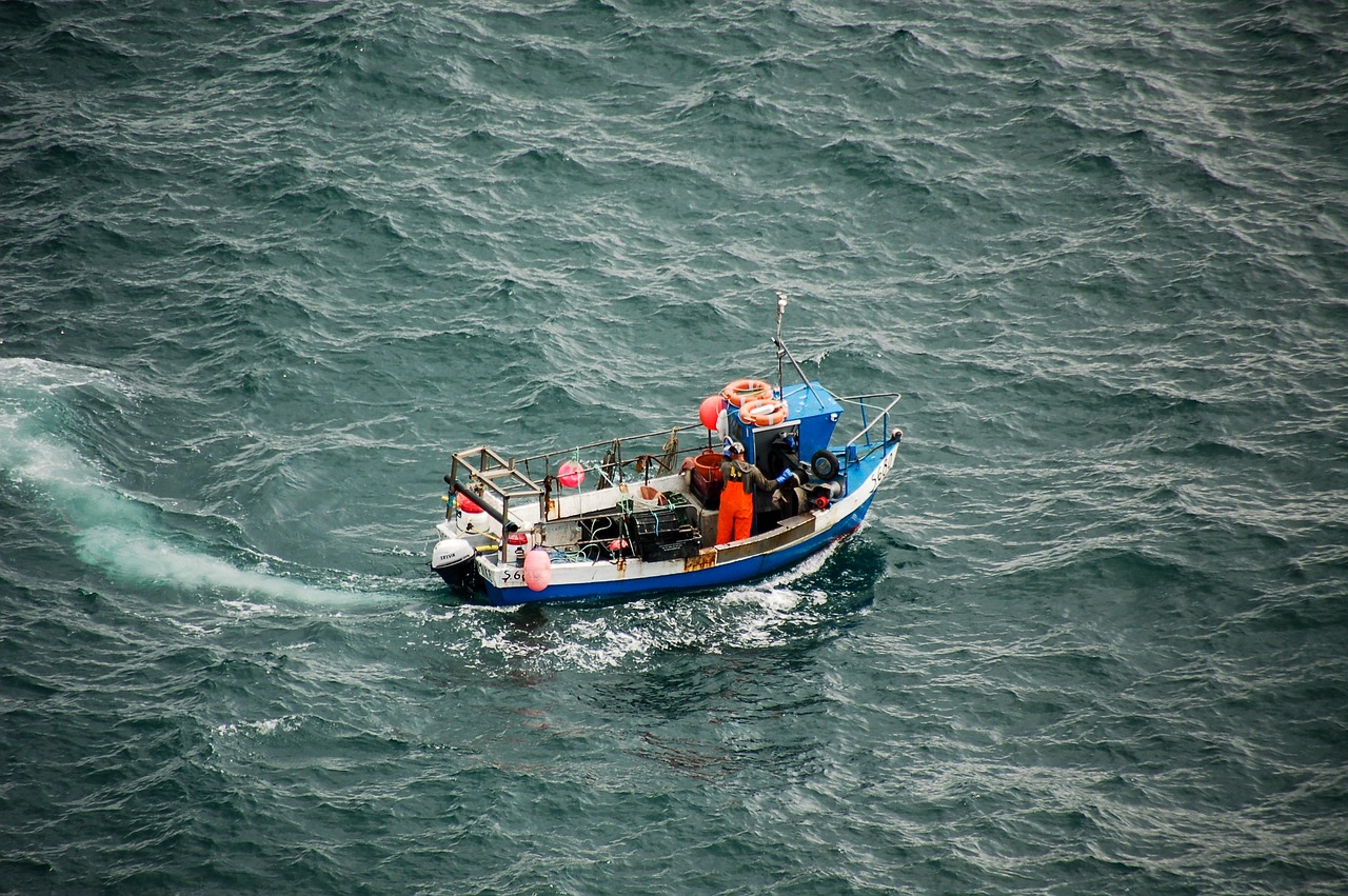 boat, fishing boat, nature-4716839.jpg